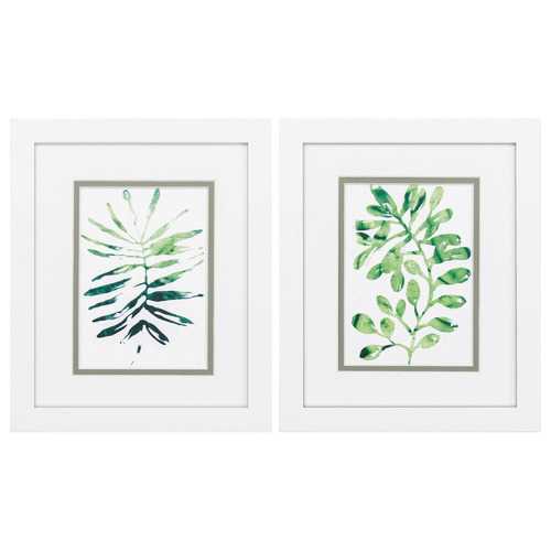 9" X 11" Matte White Frame Emerald Tropics (Set of 2)