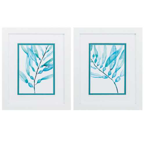 9" X 11" Matte White Frame Watercolor Kelp (Set of 2)