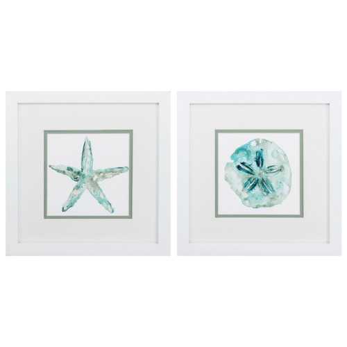 11" X 11" Matte White Frame Sandstar (Set of 2)