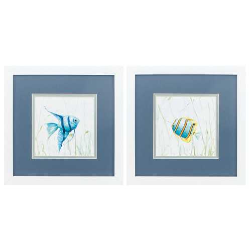 11" X 11" Matte White Frame Reef Encounter (Set of 2)