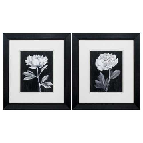 16" X 18" Black Frame Black White Flowers (Set of 2)