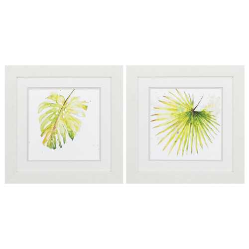 19" X 19" White Frame Balaze Palma (Set of 2)