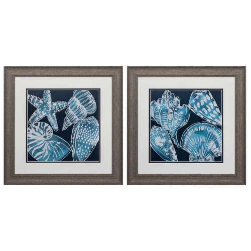 19" X 19" Distressed Wood Toned Frame Marine Shells (Set of 2)
