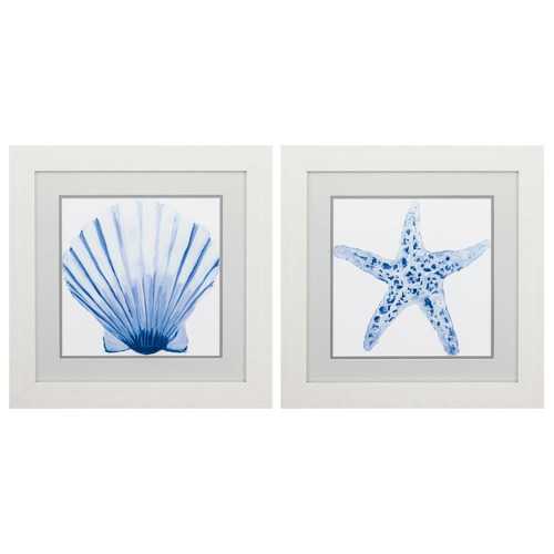 19" X 19" White Frame Fan Shell Starfish (Set of 2)