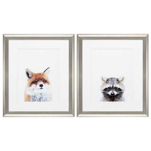 19" X 22" Brushed Silver Frame Fox Racoon (Set of 2)
