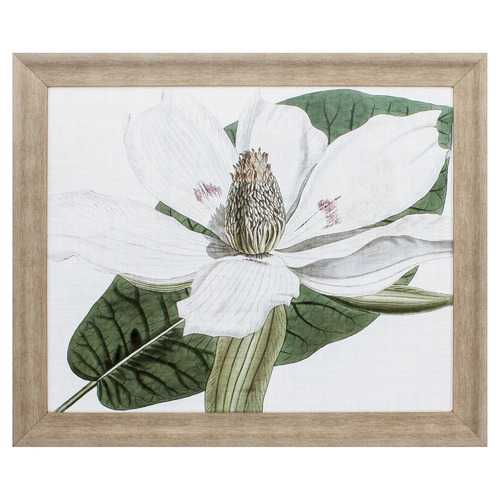 31" X 26" Champagne Color Frame  Curtis Magnolia II