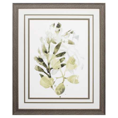 27" X 33" Distressed Wood Toned Frame Lichen and Leaves II