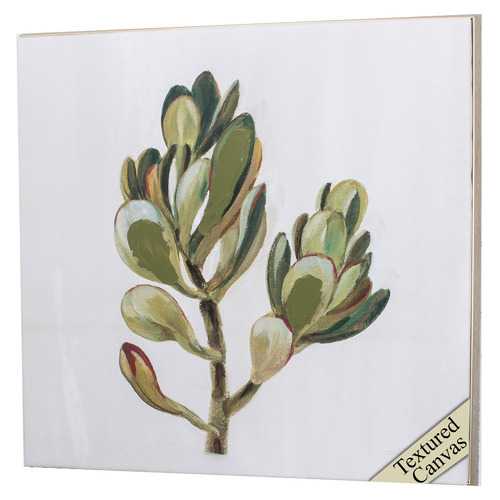 30" X 30" Ligth Wood Toned Frame Succulents II