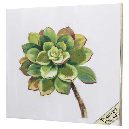 30" X 30" Ligth Wood Toned Frame Succulents IIi