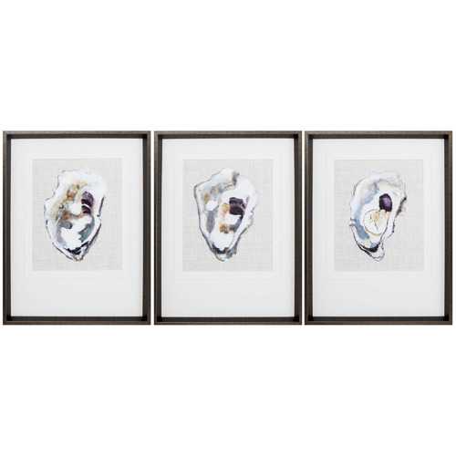 18" X 24" Brushed Silver Frame Oyster Shell Study (Set of 3)
