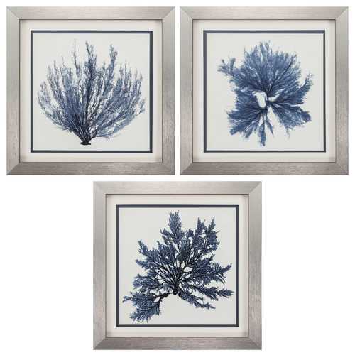 22" X 22" Silver Frame Coastal Seaweed (Set of 3)