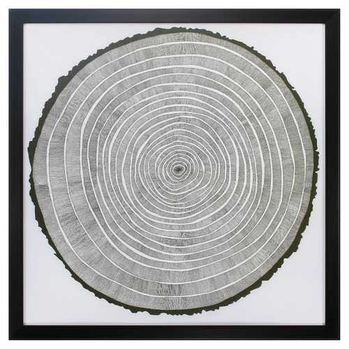 26" X 26" Dark Wood Toned Frame Tree Theory
