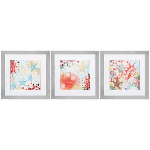 26" X 26" Silver Frame Exotic Sea Life (Set of 3)