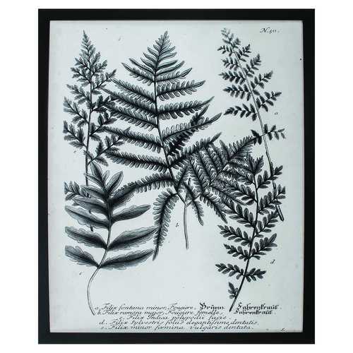 26" X 32" Dark Wood Toned Frame Charcoal Fern Gather II