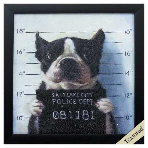 11" X 11" Black Frame Mug Shot