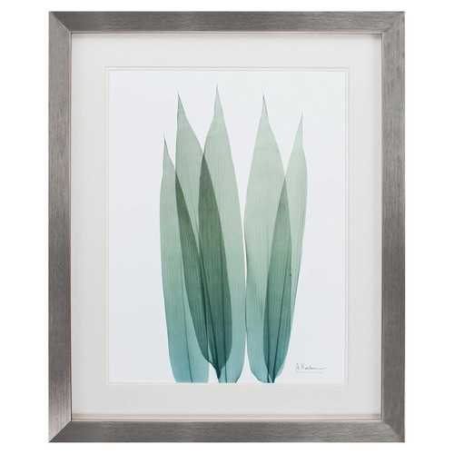 26" X 32" Silver Frame Sea Weed I