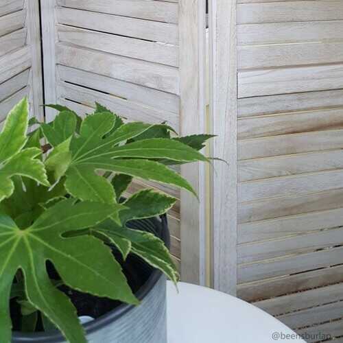 6 Panels Classic Venetian Wooden Slat Room Screen - Color: White